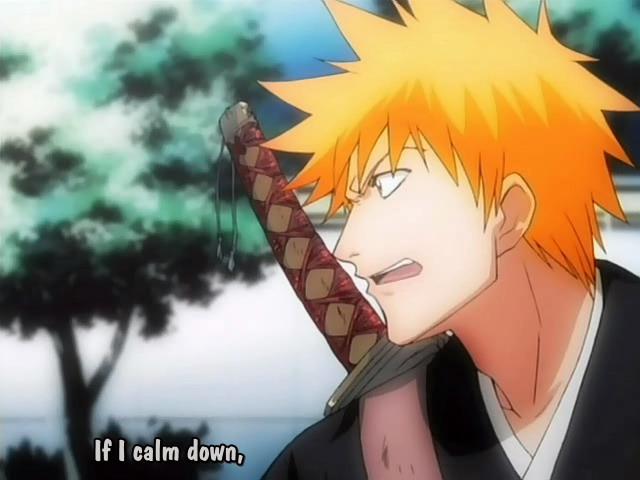 Otaku Gallery  / Anime e Manga / Bleach / Screen Shots / Episodi / 007 - Saluti da un animale di pezza / 015.jpg